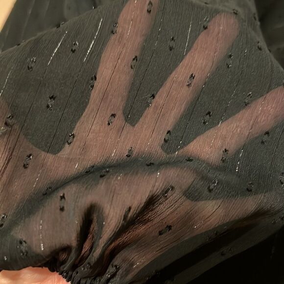Sanctuary szXL black sheer LS blouse ties at neck Swiss dots/silver threads EUC - Picture 4 of 9
